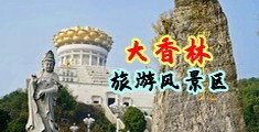 男的插女的下面视频免费观看网站在线观看中国浙江-绍兴大香林旅游风景区