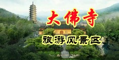 操日本小骚屄视频中国浙江-新昌大佛寺旅游风景区
